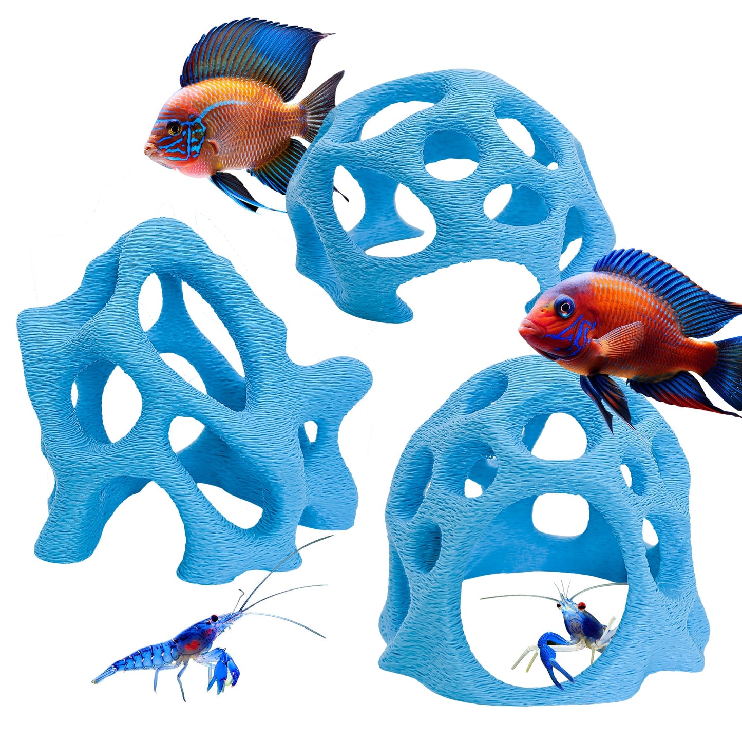 Aquarium Caves Set of 3 – Natural Aquascape Decor for Shrimp, Betta & Nano Fish