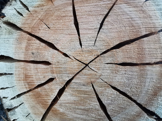 Is Wooden Furniture Really Sustainable & Eco-Friendly?