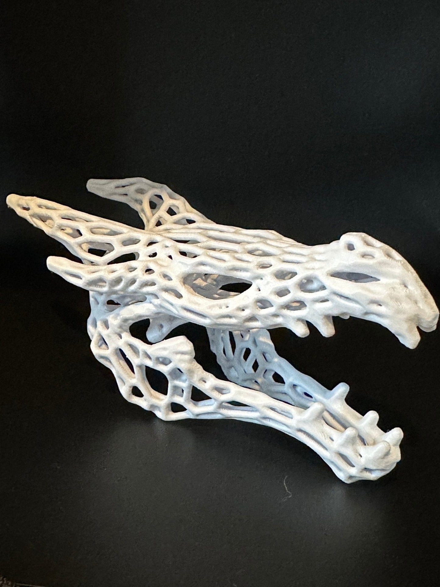 Aquarium or Reptile Tank Dragon Skull. Create a Unique Fish, Shrimp  and Reptile Hide and Safe Spot