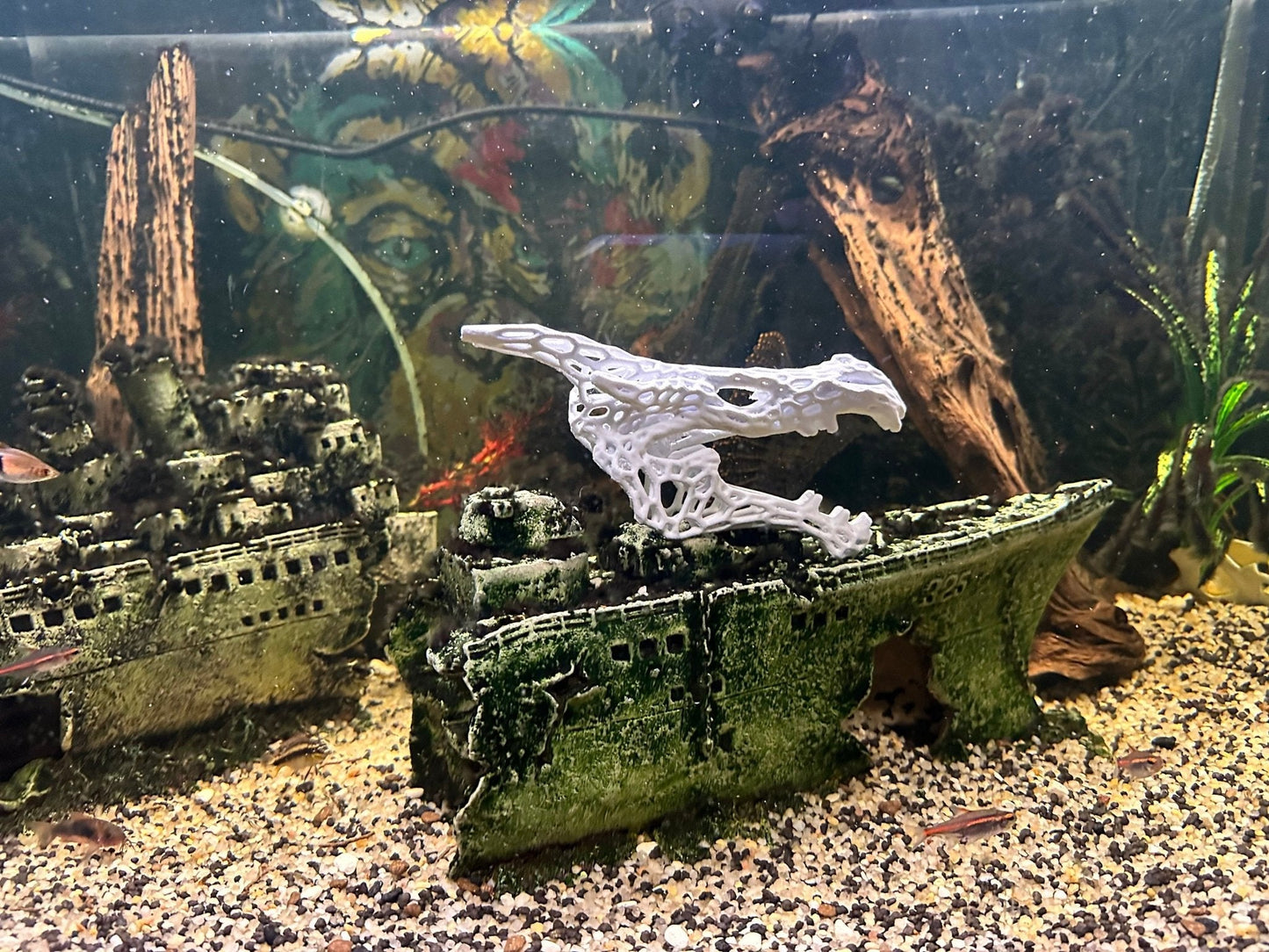 Aquarium or Reptile Tank Dragon Skull. Create a Unique Fish, Shrimp  and Reptile Hide and Safe Spot