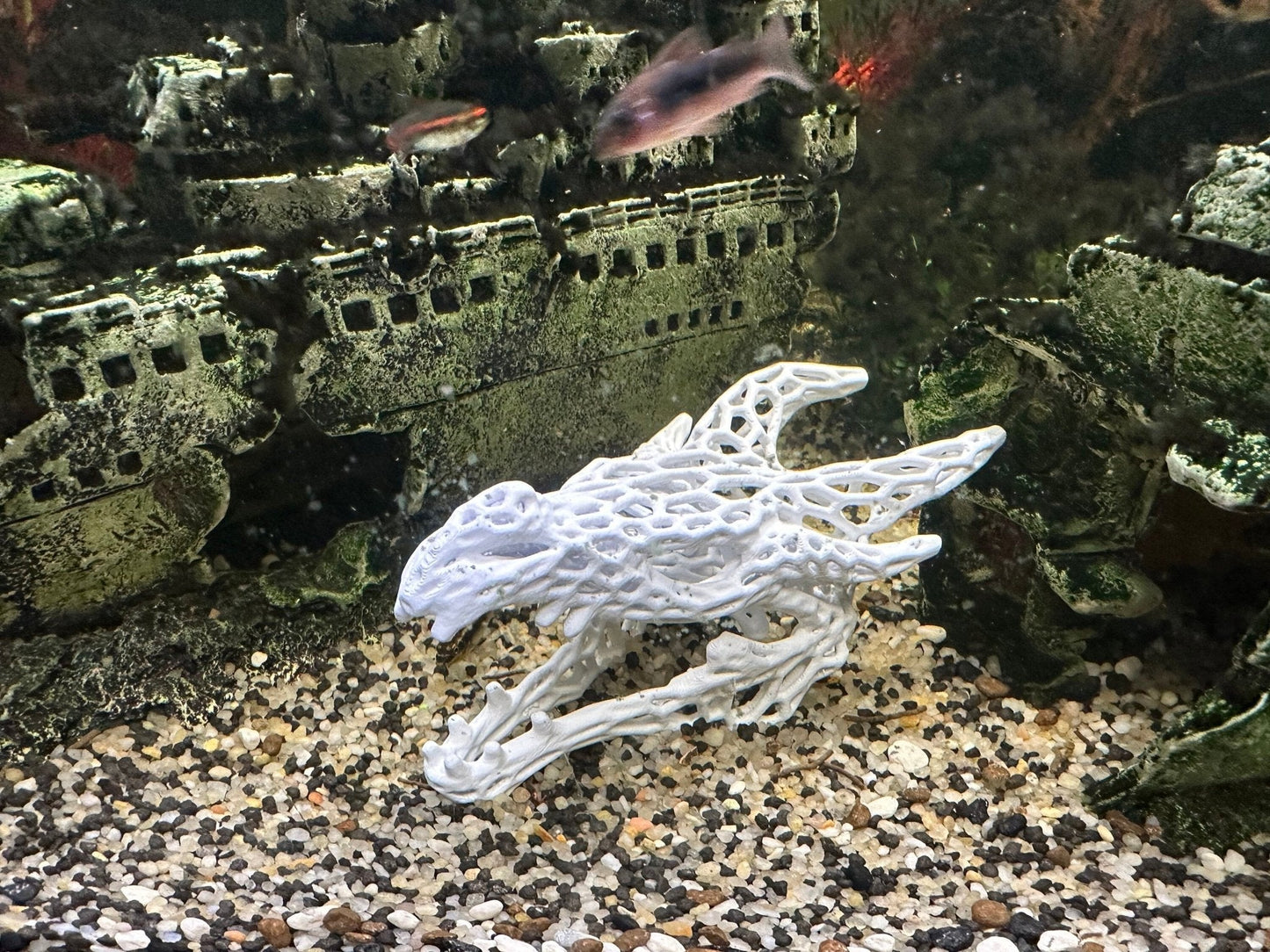Aquarium or Reptile Tank Dragon Skull. Create a Unique Fish, Shrimp  and Reptile Hide and Safe Spot