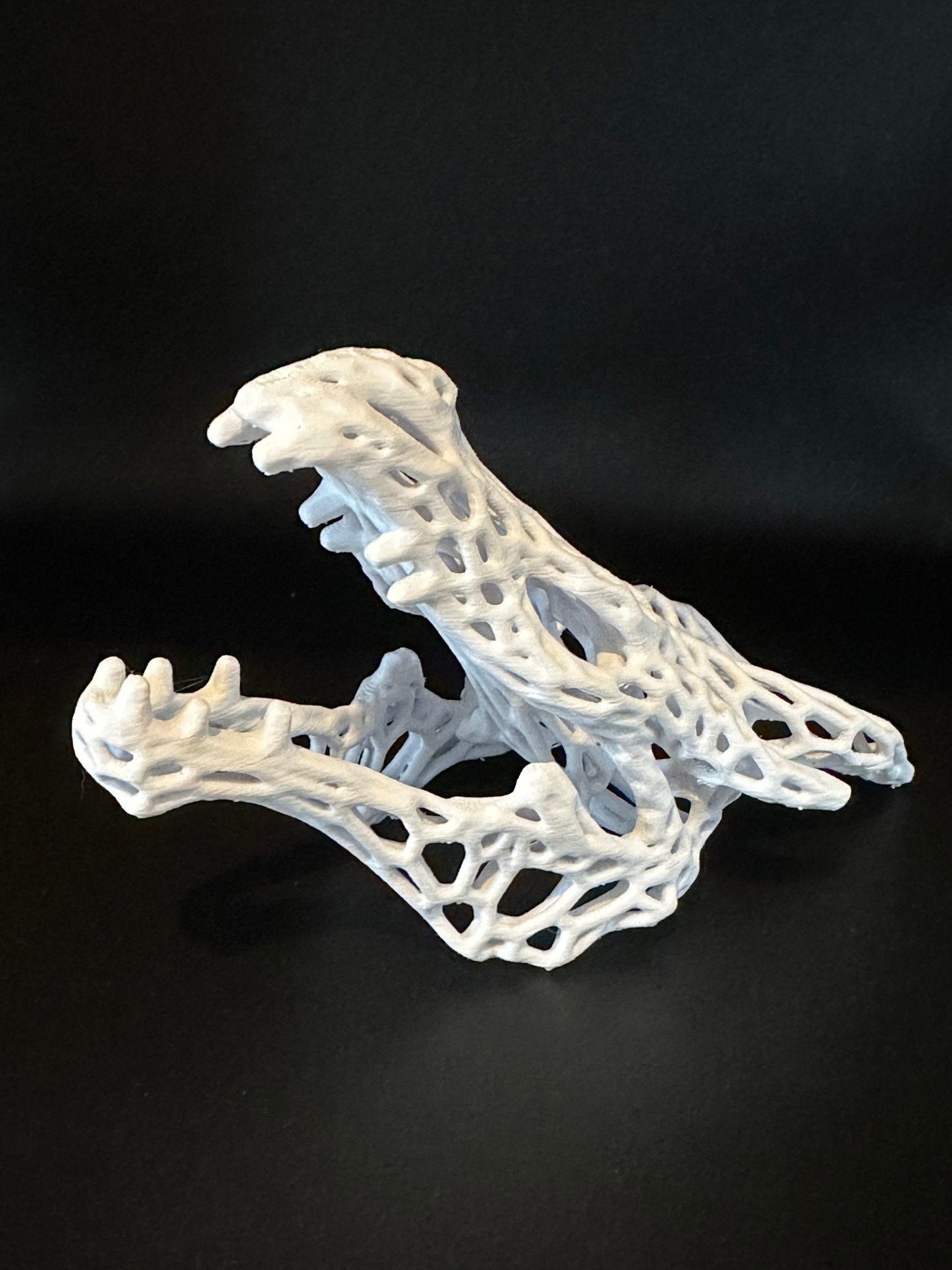 Aquarium or Reptile Tank Dragon Skull. Create a Unique Fish, Shrimp  and Reptile Hide and Safe Spot