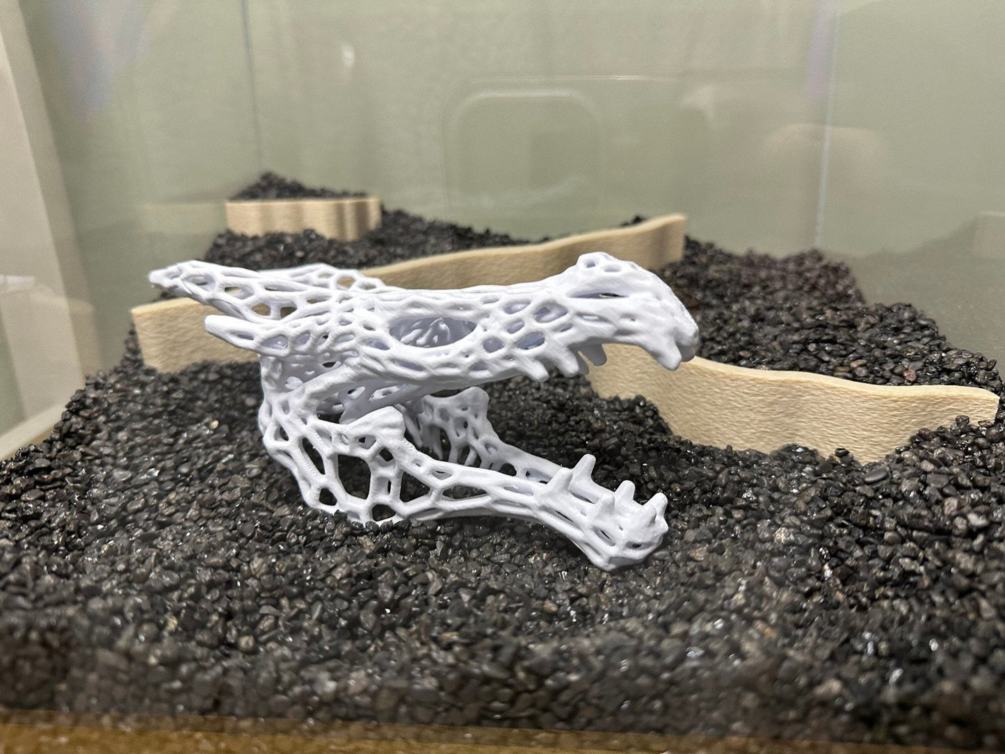 Aquarium or Reptile Tank Dragon Skull. Create a Unique Fish, Shrimp  and Reptile Hide and Safe Spot