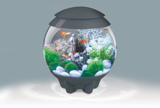 Biorb Halo 15 Multi Coloured Light Grey 15ltr