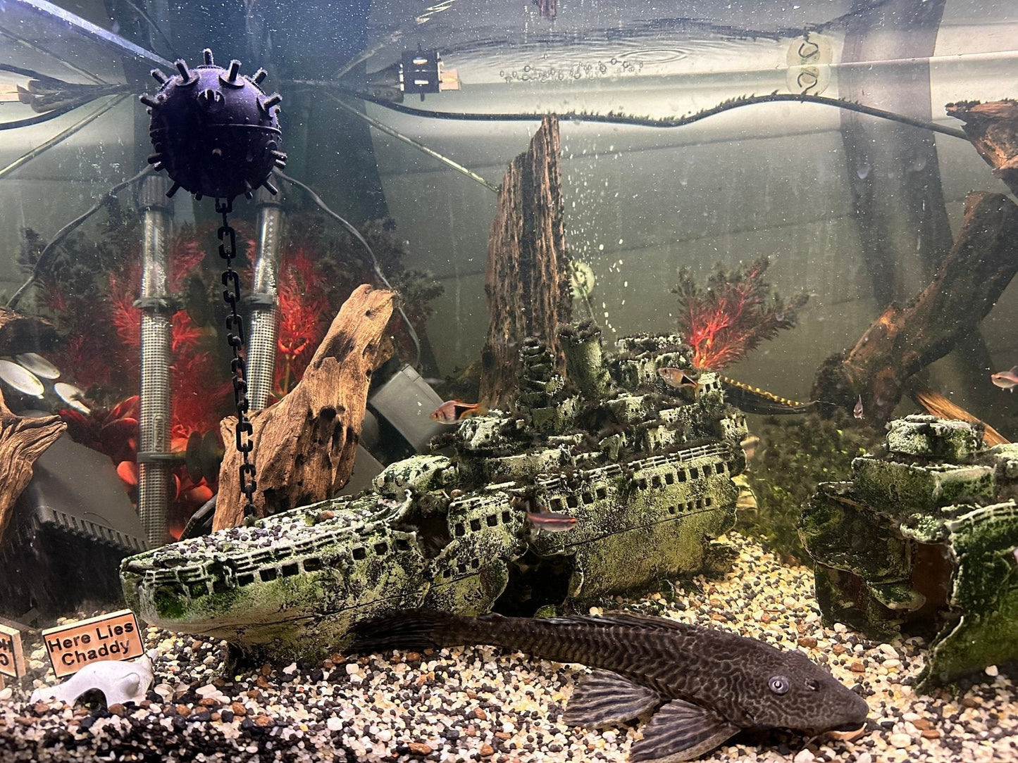 Floating Aquarium Mine / Ideal Accessory for any Fish Tank