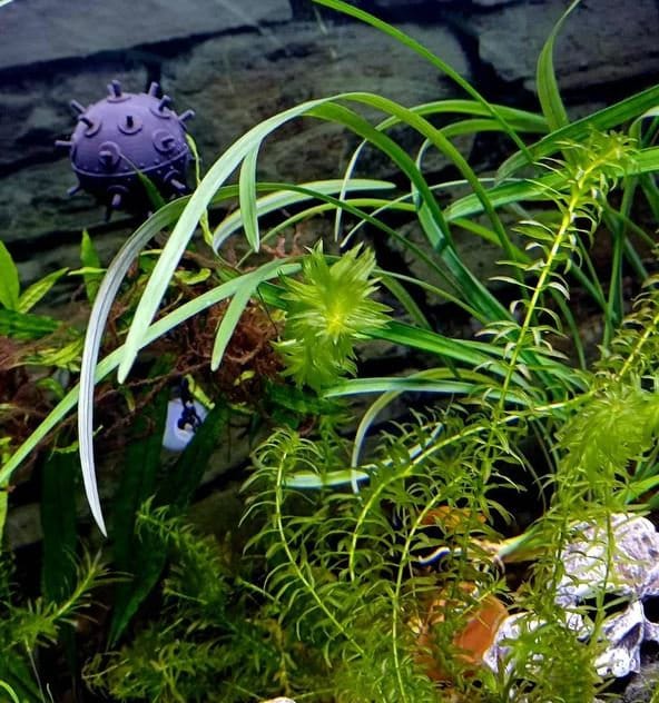 Floating Aquarium Mine / Ideal Accessory for any Fish Tank