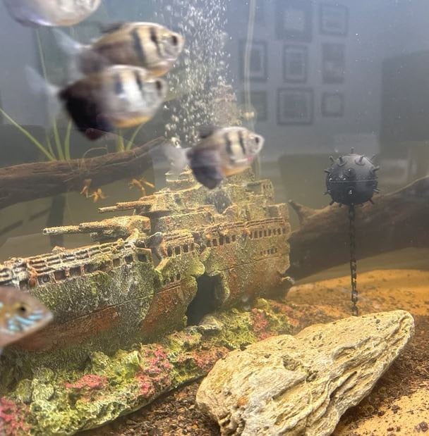 Floating Aquarium Mine / Ideal Accessory for any Fish Tank