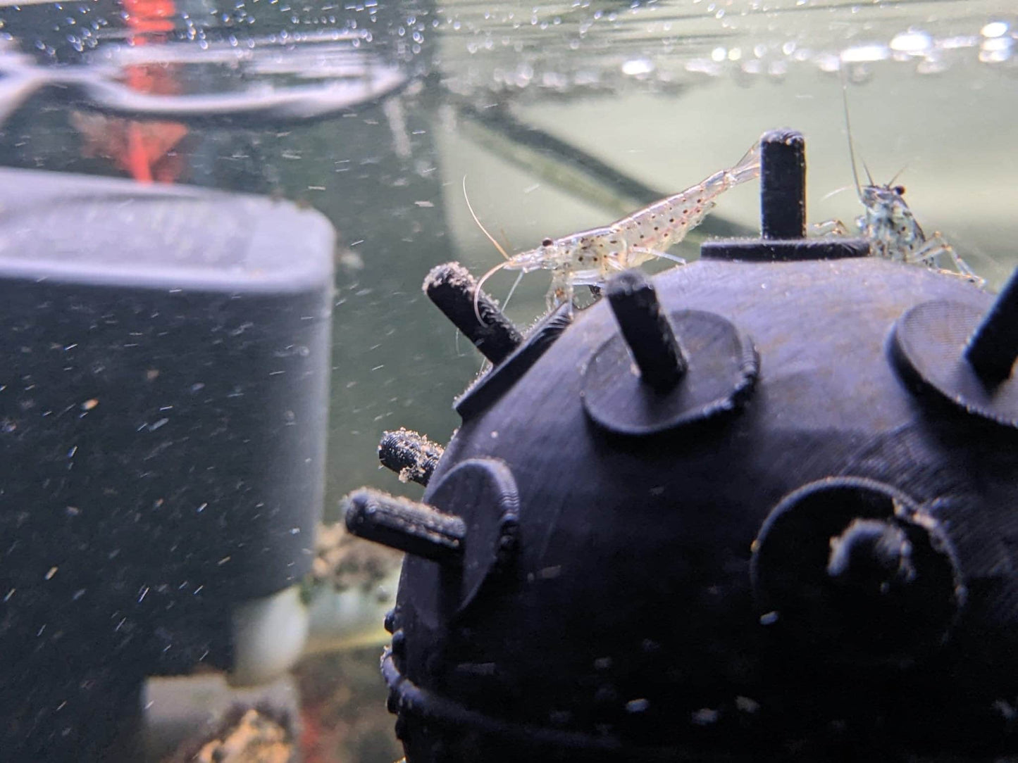 Floating Aquarium Mine / Ideal Accessory for any Fish Tank