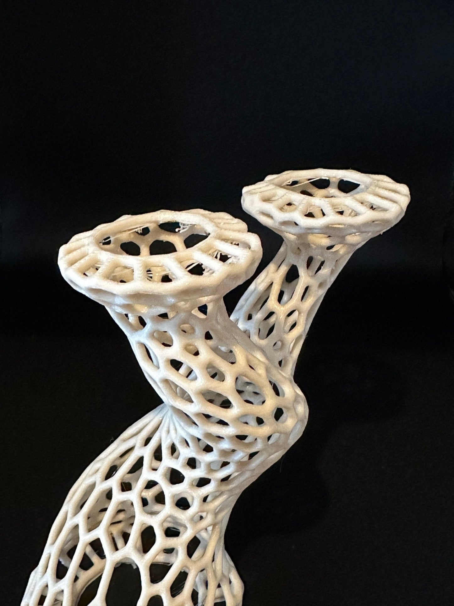 Moss and Plant Shelter for Aquariums in a Bonsai Tree Style