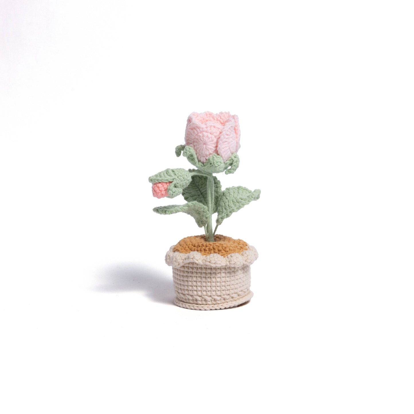 Cozy Roses Table-top Plant