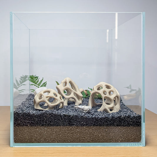 Aquarium Caves Set of 3 – Natural Aquascape Decor for Shrimp, Betta & Nano Fish